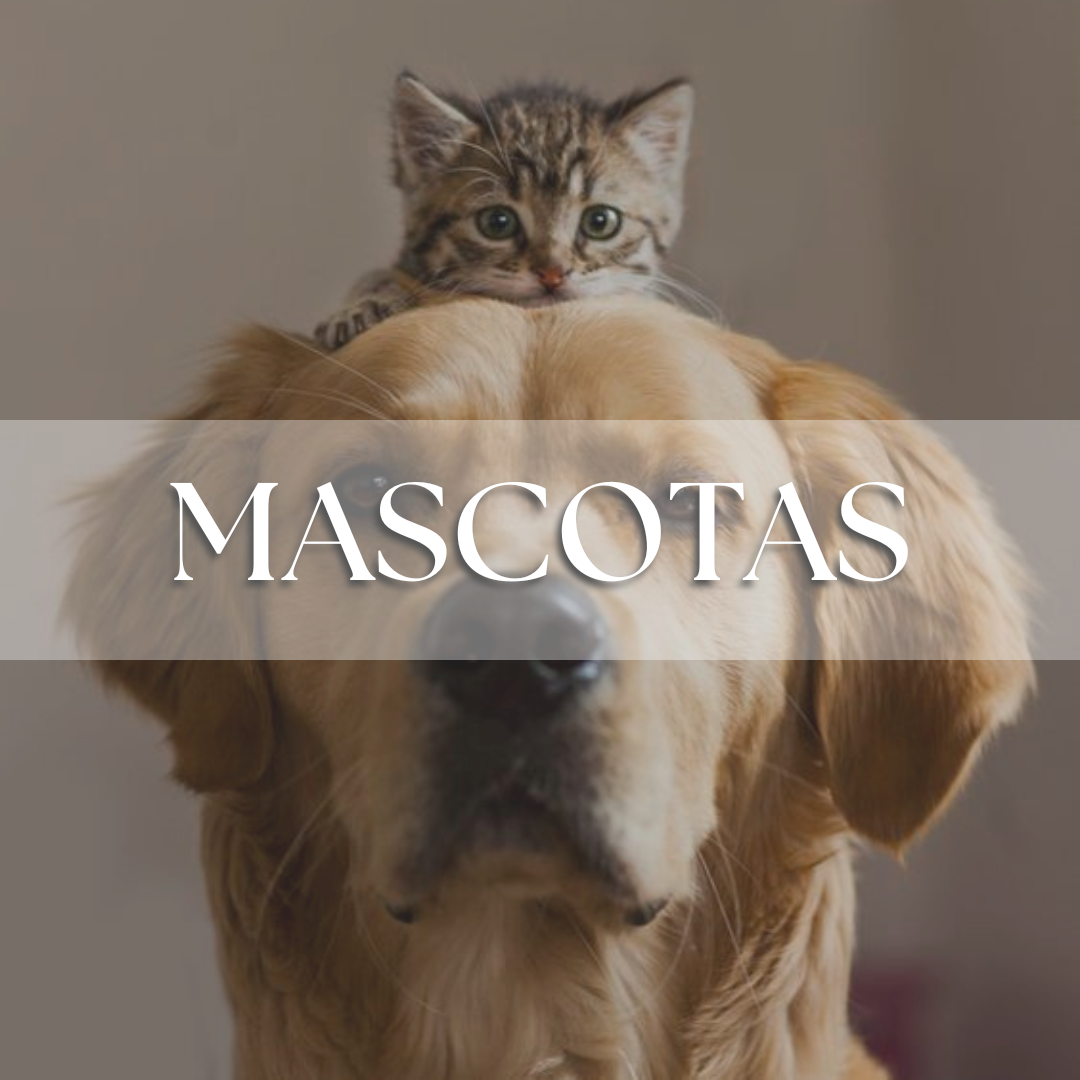 Mascotas